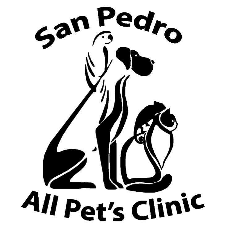 San Pedro All Pet’s Clinic
