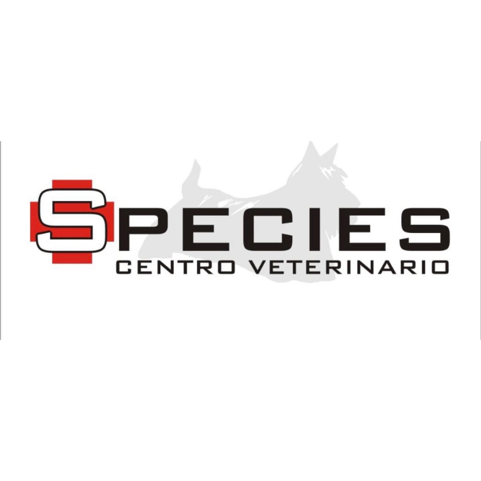 Species Veterinaria