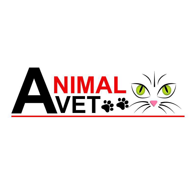 animal vet